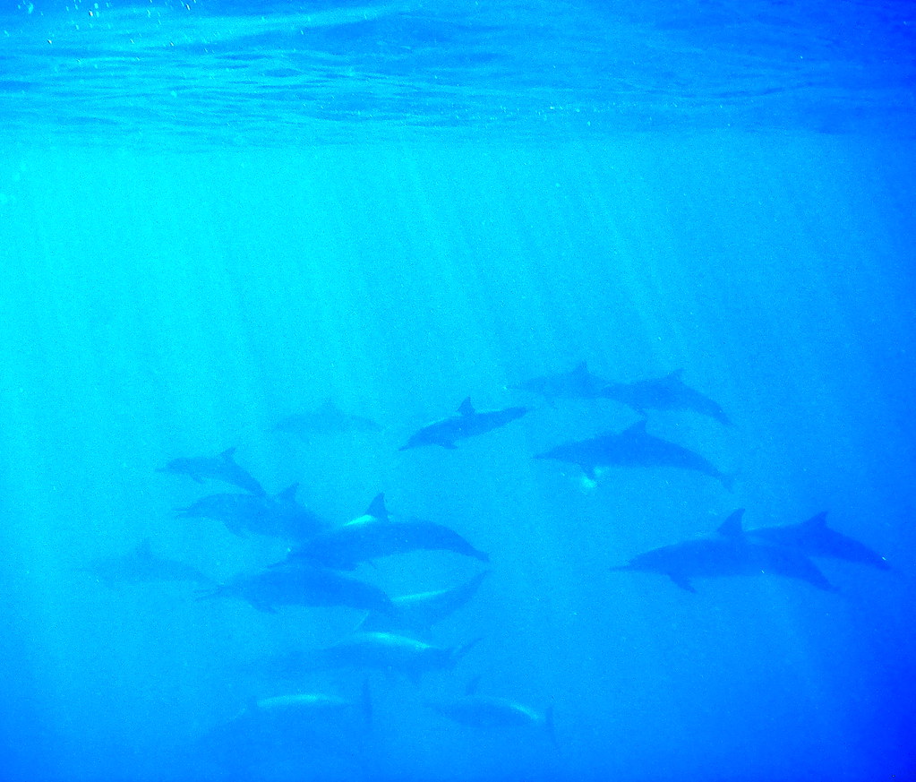 Underwater communication technology: Is it the best solution?